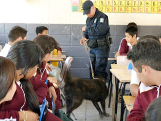 Ahora que inician las inscripciones los padres, además de calidad educativa piensan ya en la seguridad que brindan los planteles.