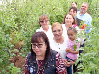 Convierten un terreno baldío en un Invernadero