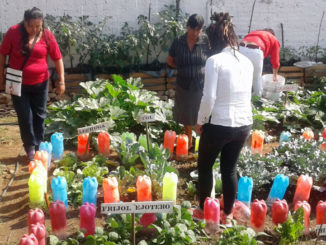 Este programa tiene beneficios ambientales